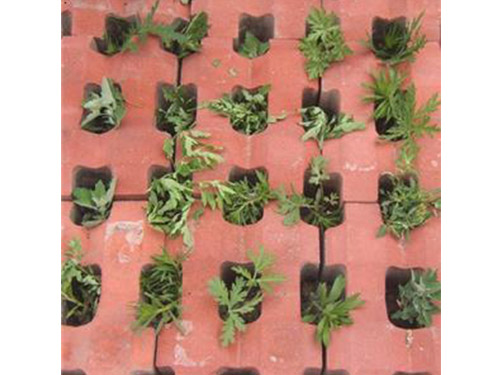 植草磚